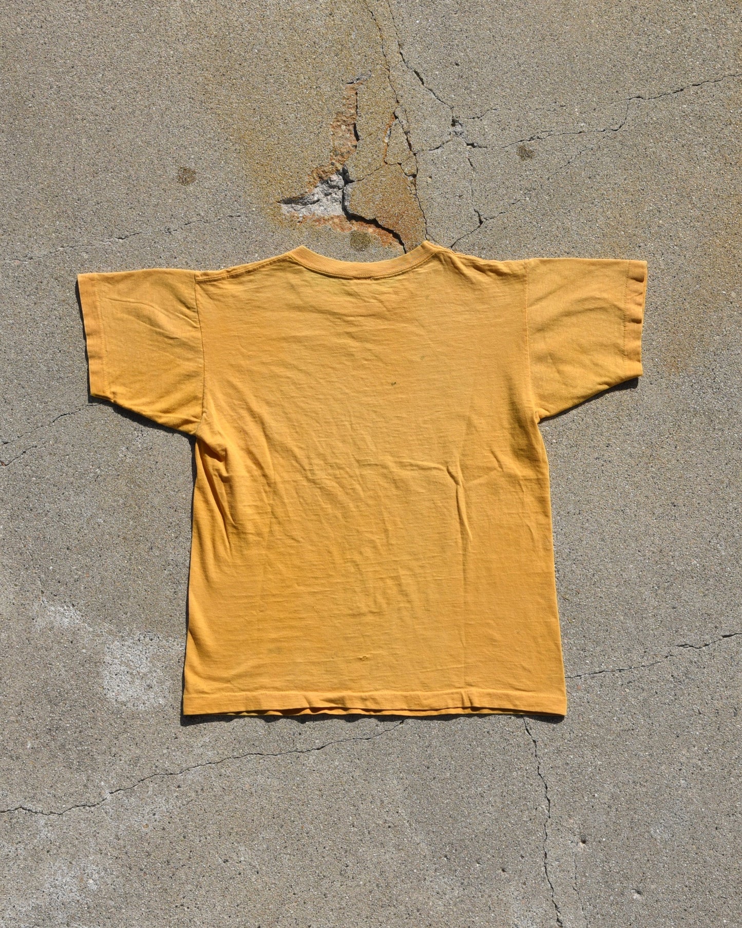 1970s Champion Sterling Phys Ed Tshirt - Medium
