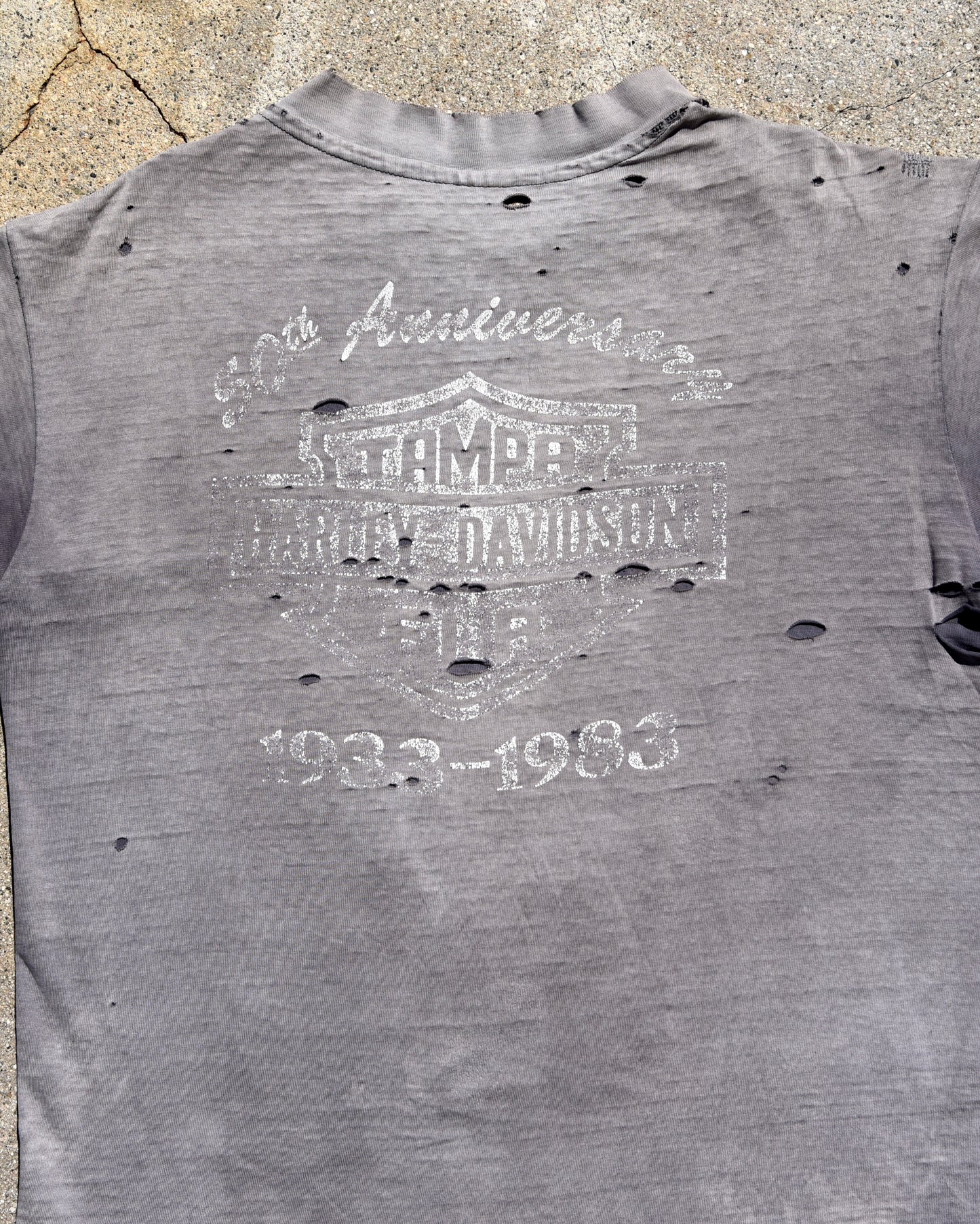 1980s Thrashed and Sun Faded Harley Davidson Eagle Tshirt