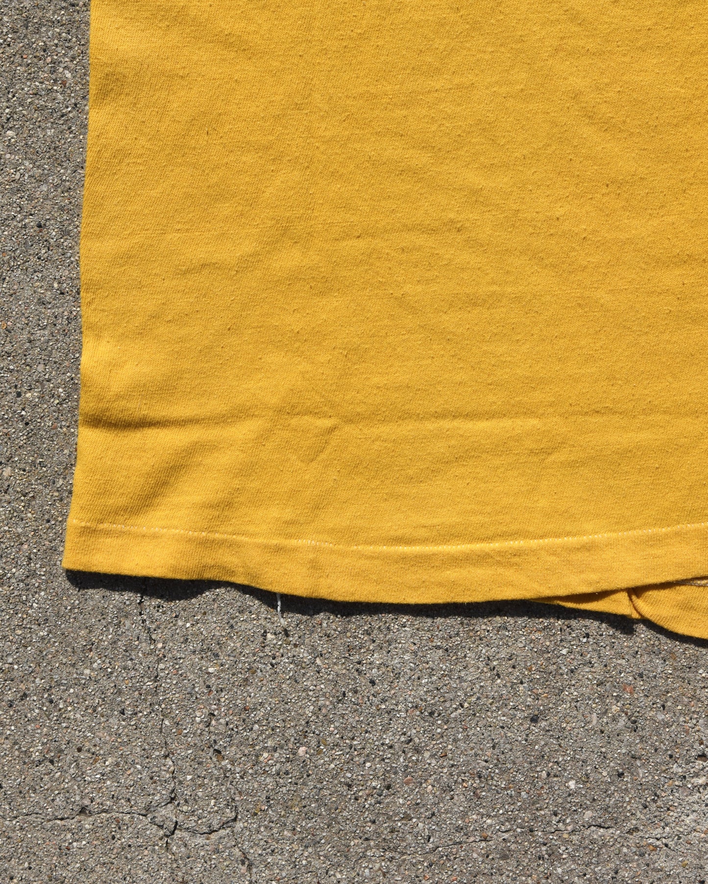 1970s The Beach Boys Endless Summer Capitol Records Tshirt