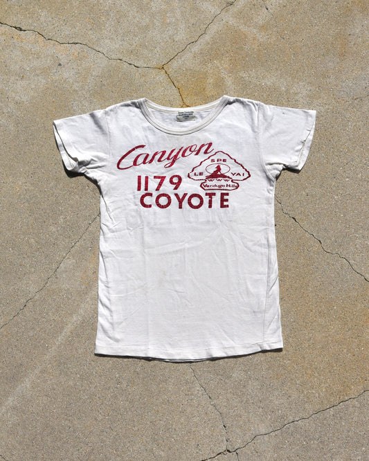 Denim Dungaree Coyote Canyon Tshirt