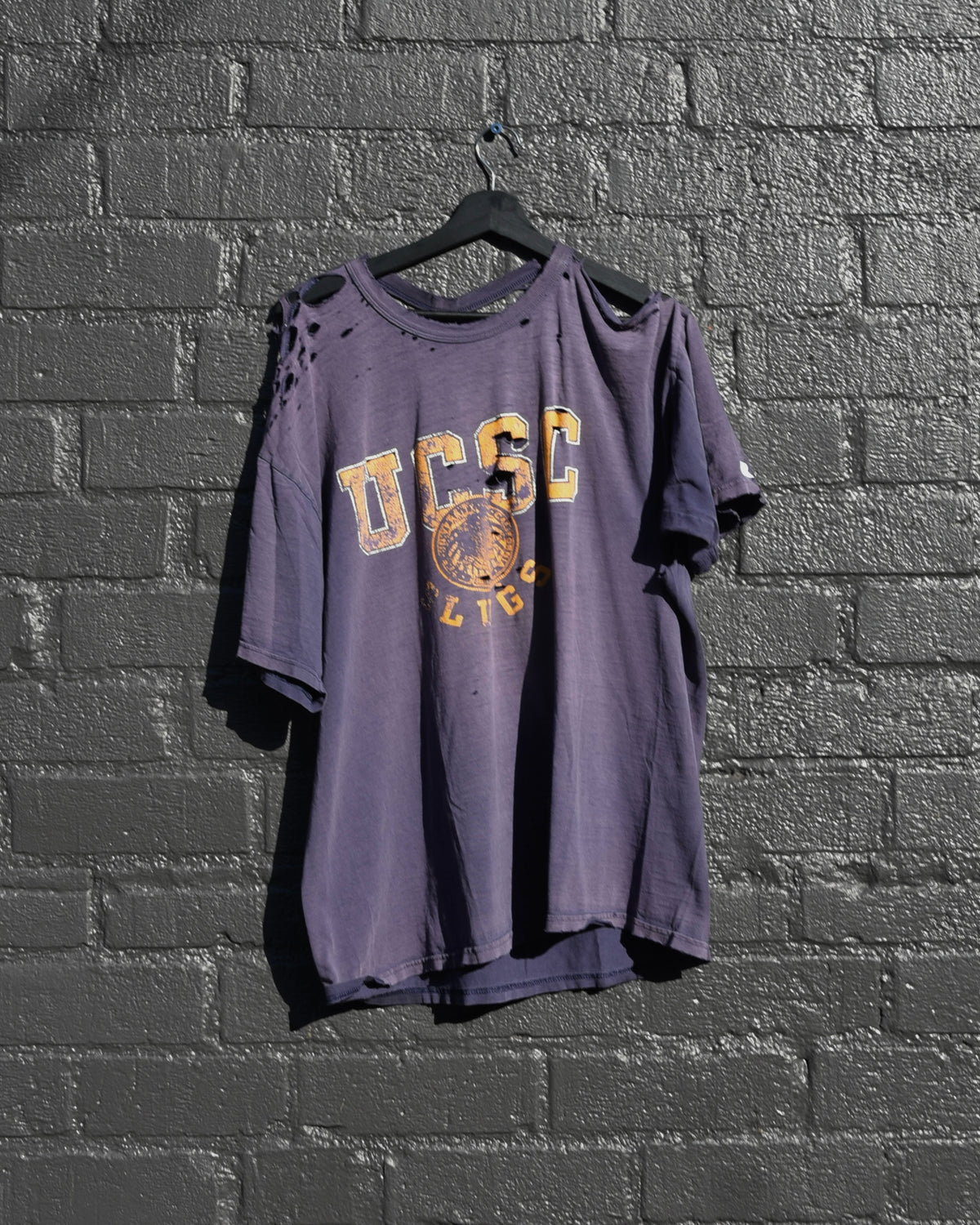 1990s Thrashed UCSC Slugs Tshirt