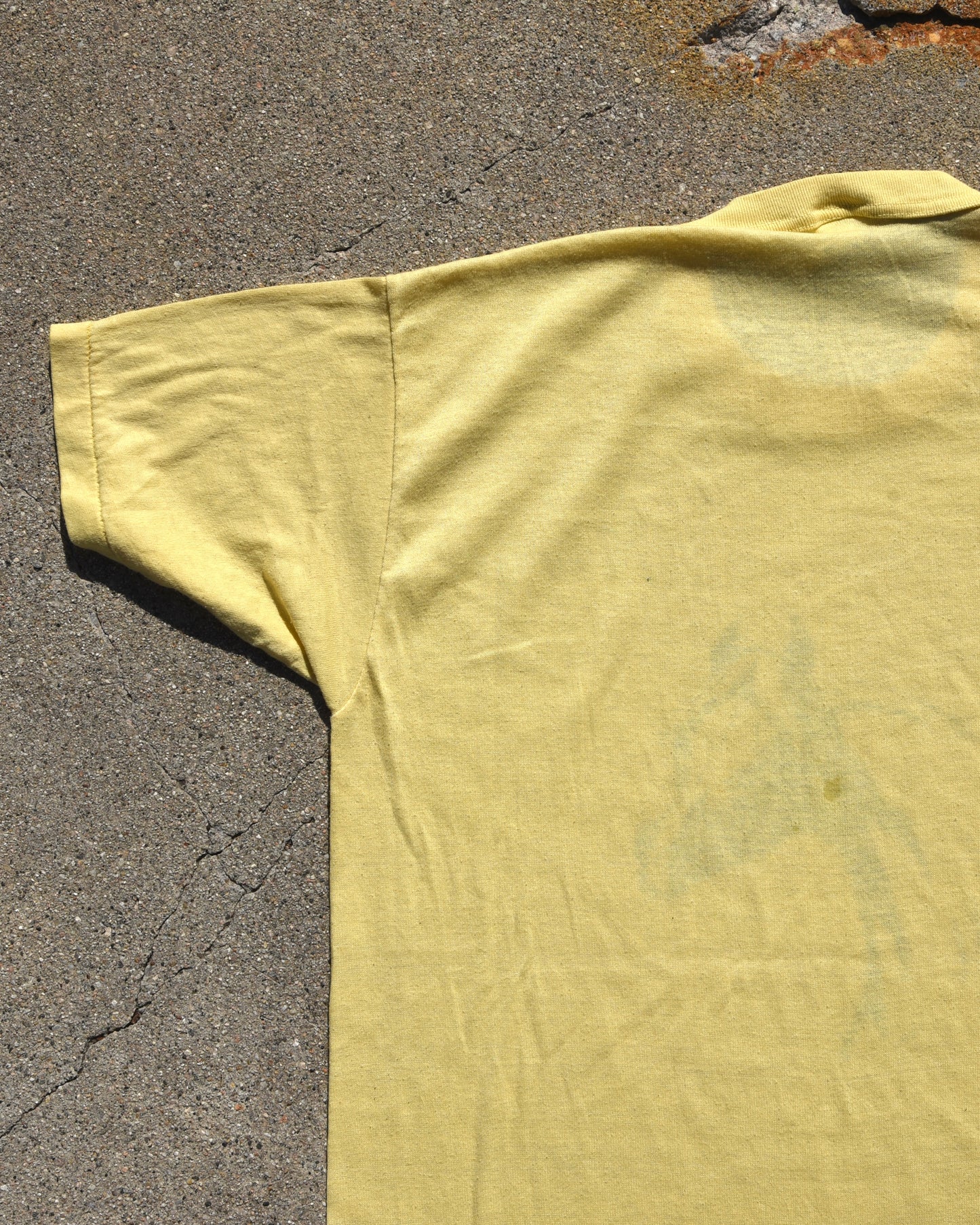 1960s Horse Portrait Tshirt