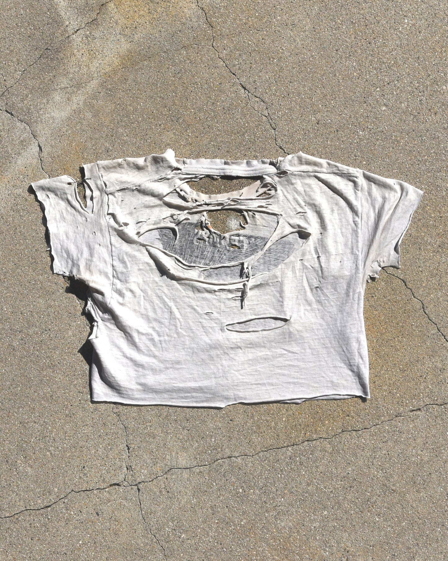 1980s Thrashed The Cramps Cropped Tshirt