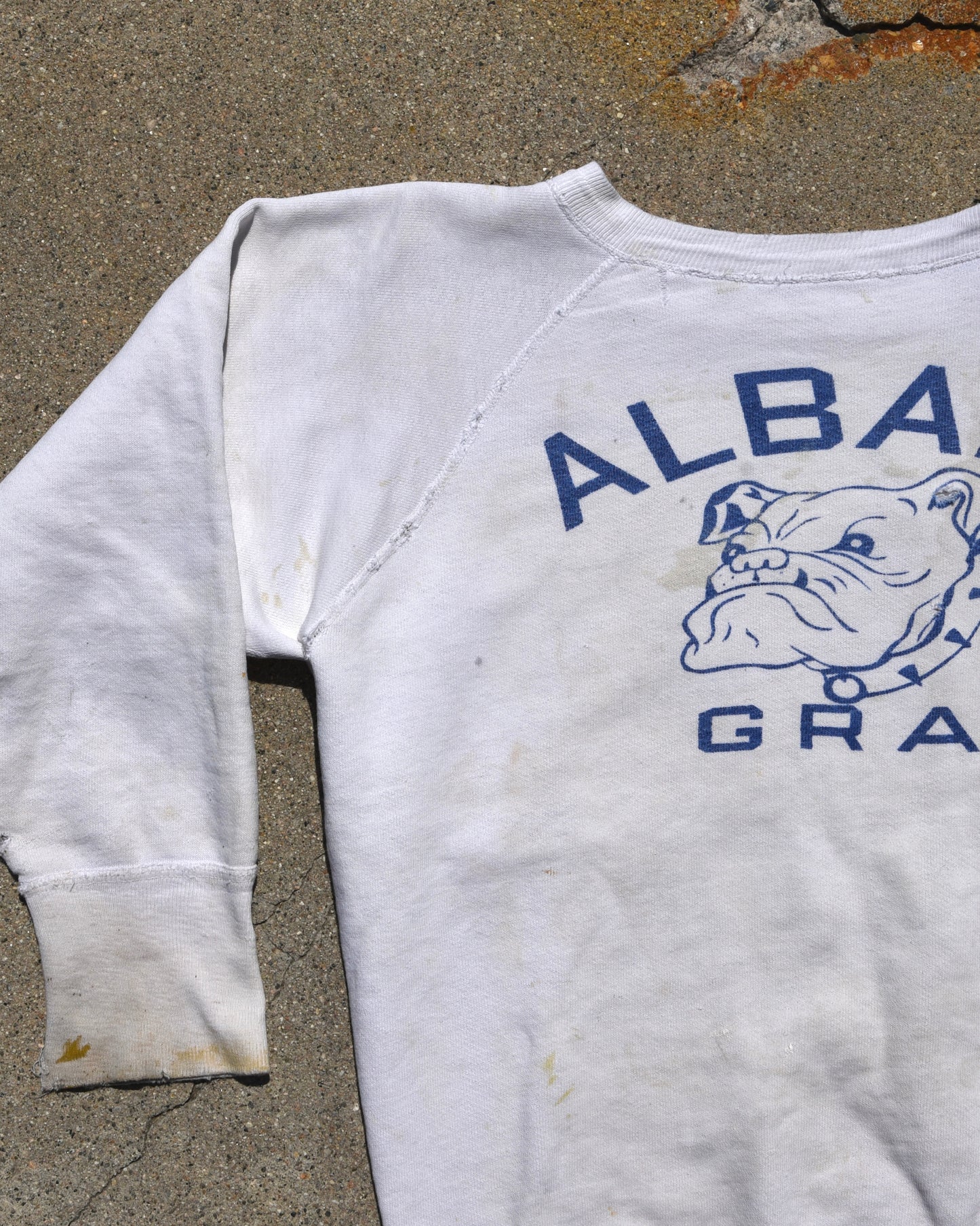 1950s Albany Gra Sweatshirt
