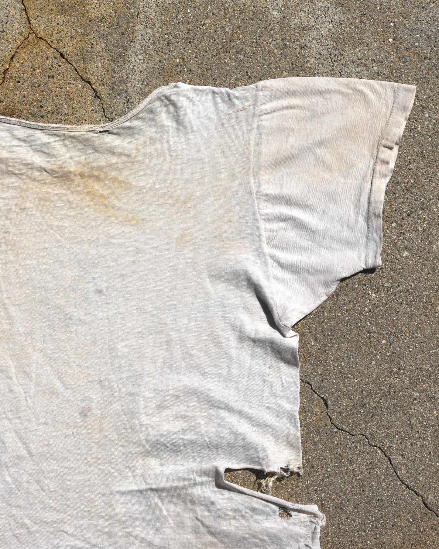 1950s Thrashed Lion Grrr Tshirt