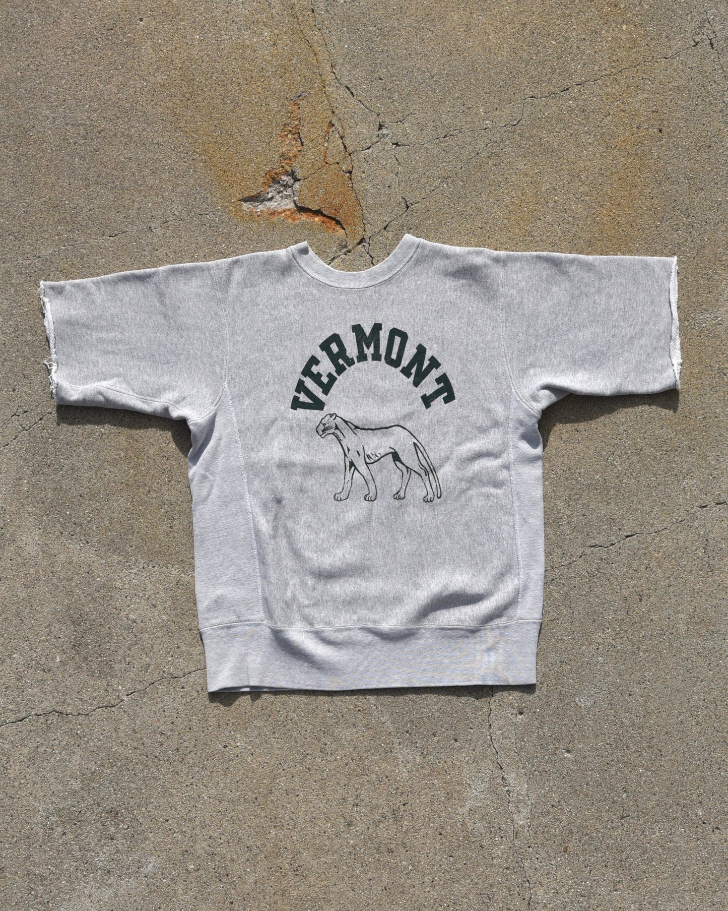 1960s Champion Reverse Weave “Expansion Gusset” Vermont Sweatshirt
