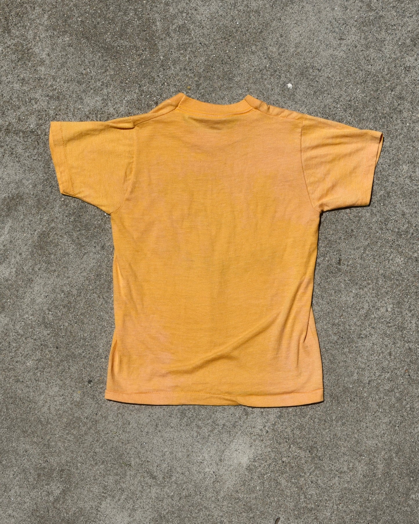 1970s Old Bridge Brownies Girl Scouts Tshirt
