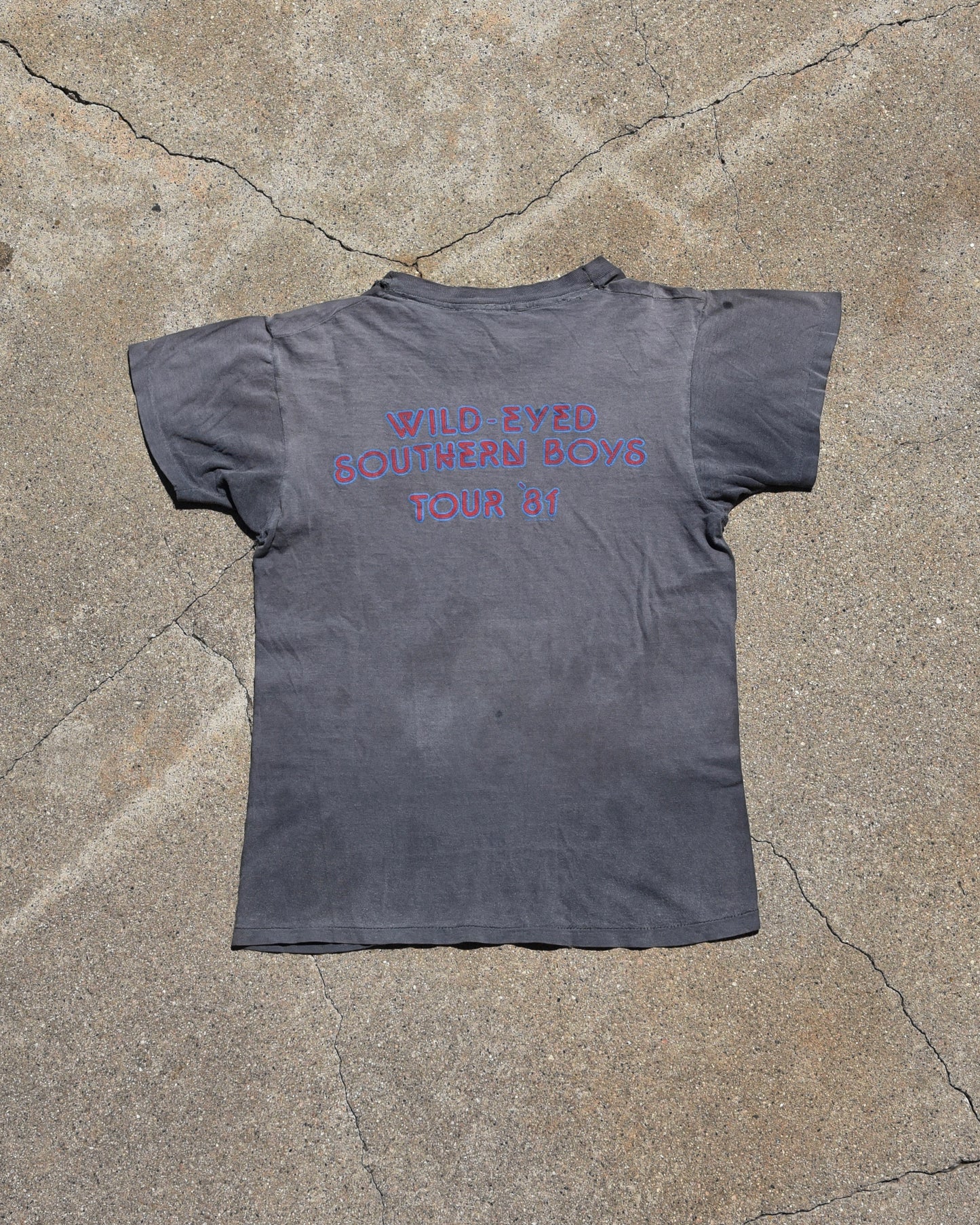 1981 Wild Southern Boys Tour Tshirt