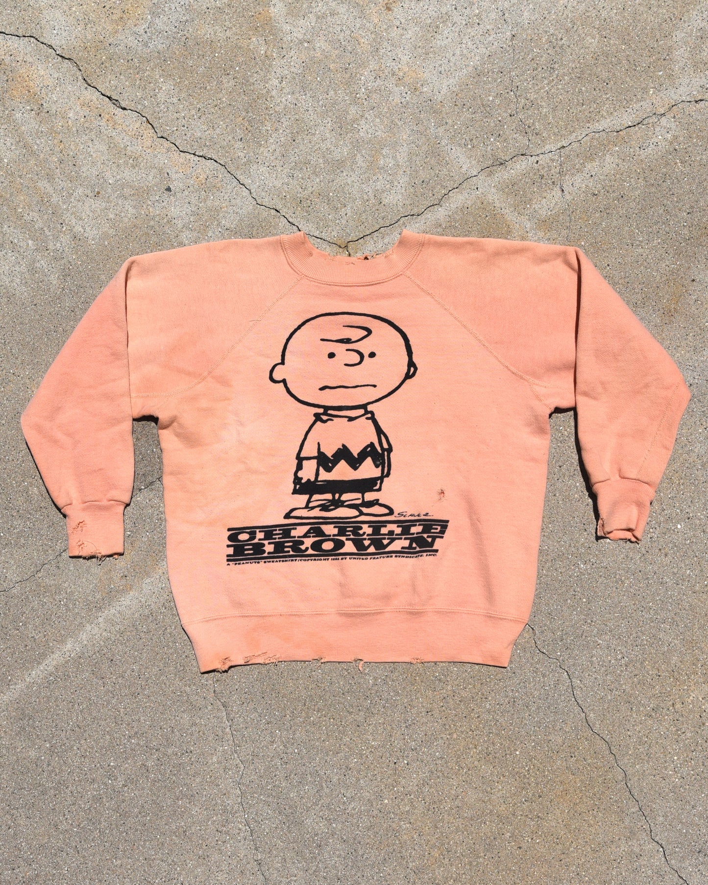 1960s Snoopy Charlie Brown Mayo Spruce Sweatshirt