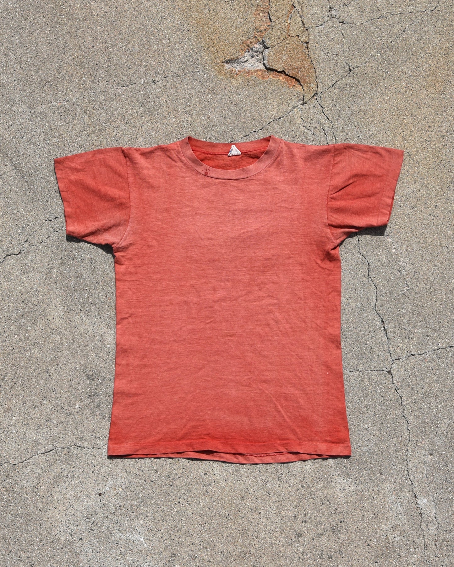 1950s Sun Faded Moose Lodge Tshirt