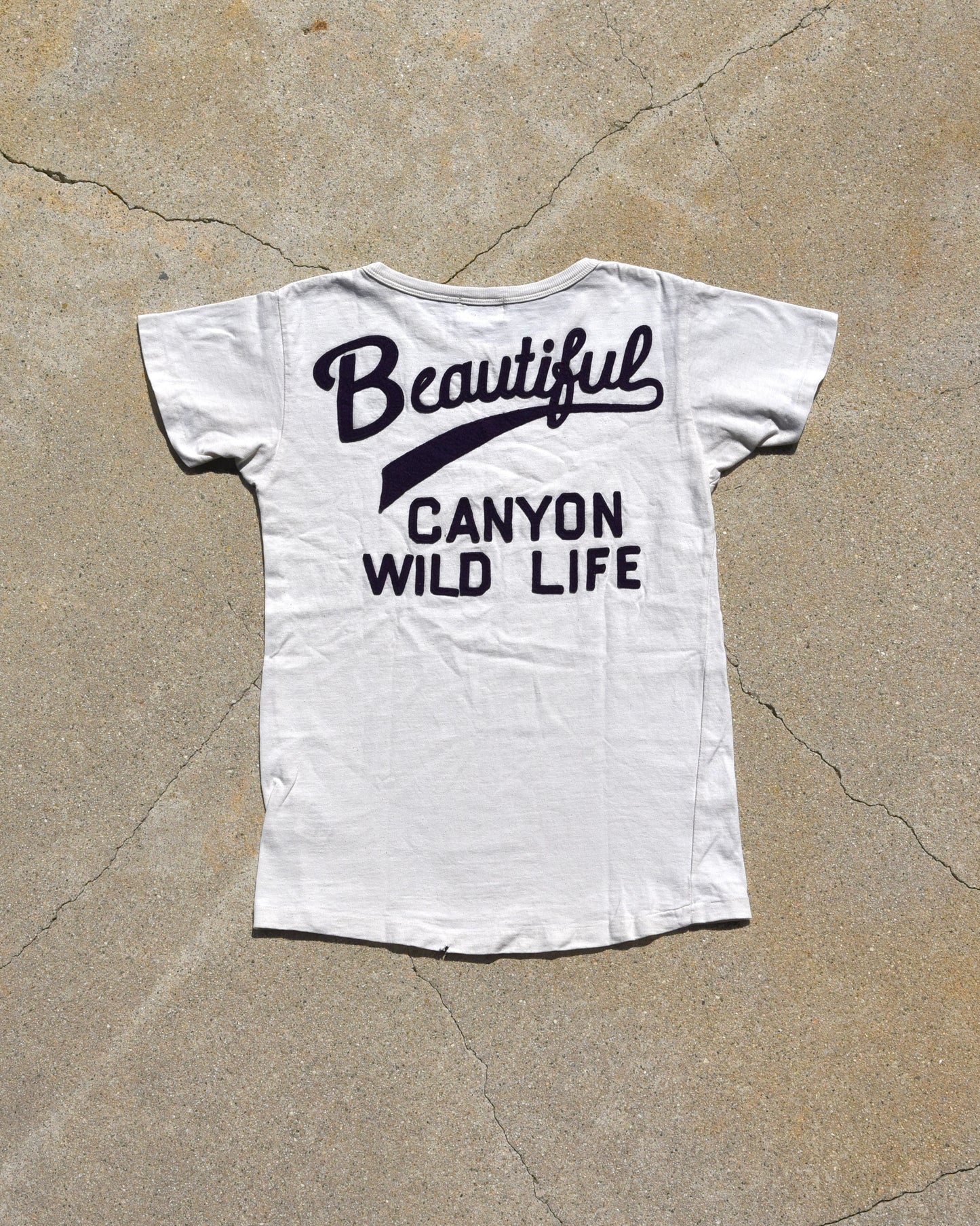 Denim Dungaree Coyote Canyon Tshirt