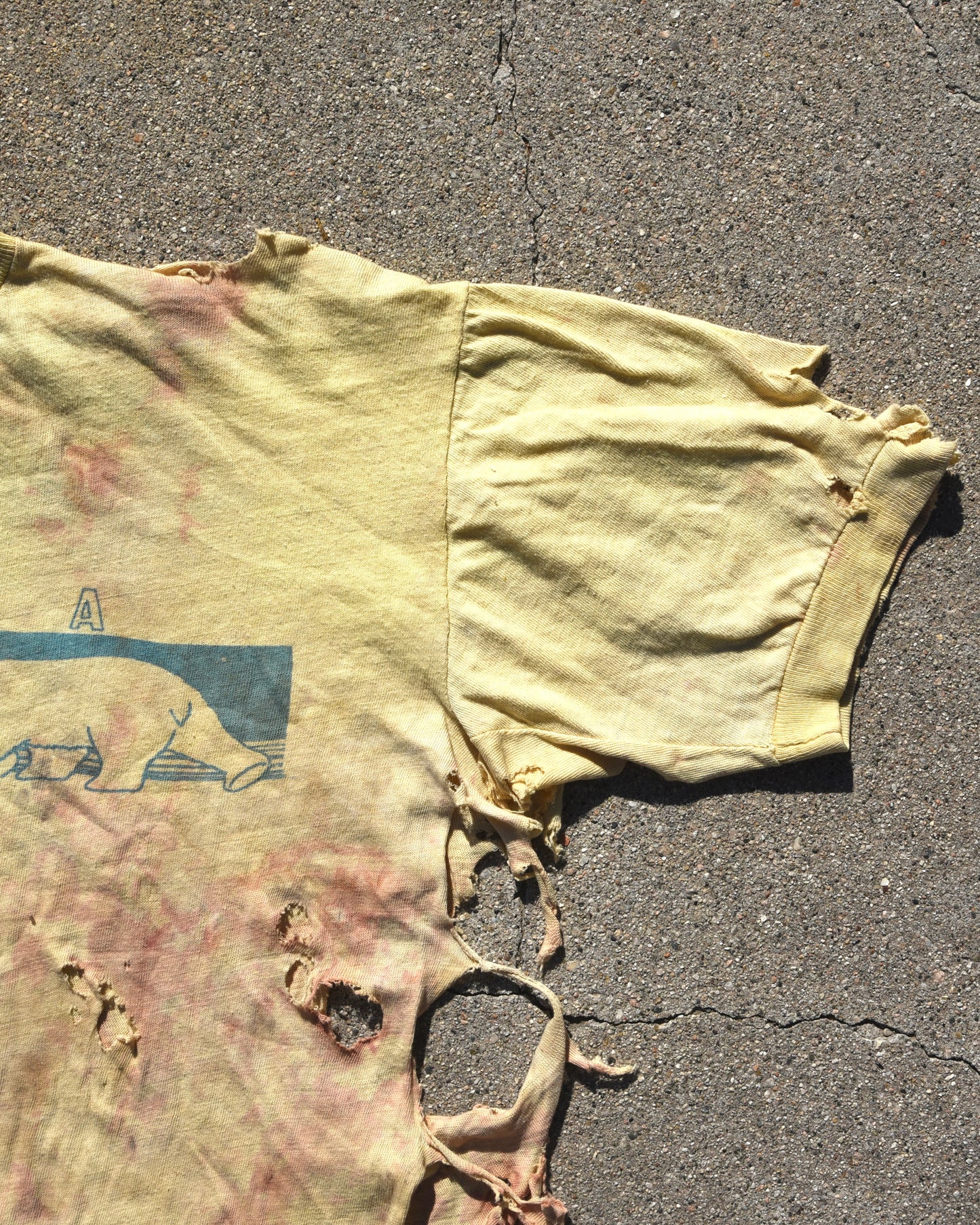 Thrashed Destroyed 1970s Alaska Tshirt