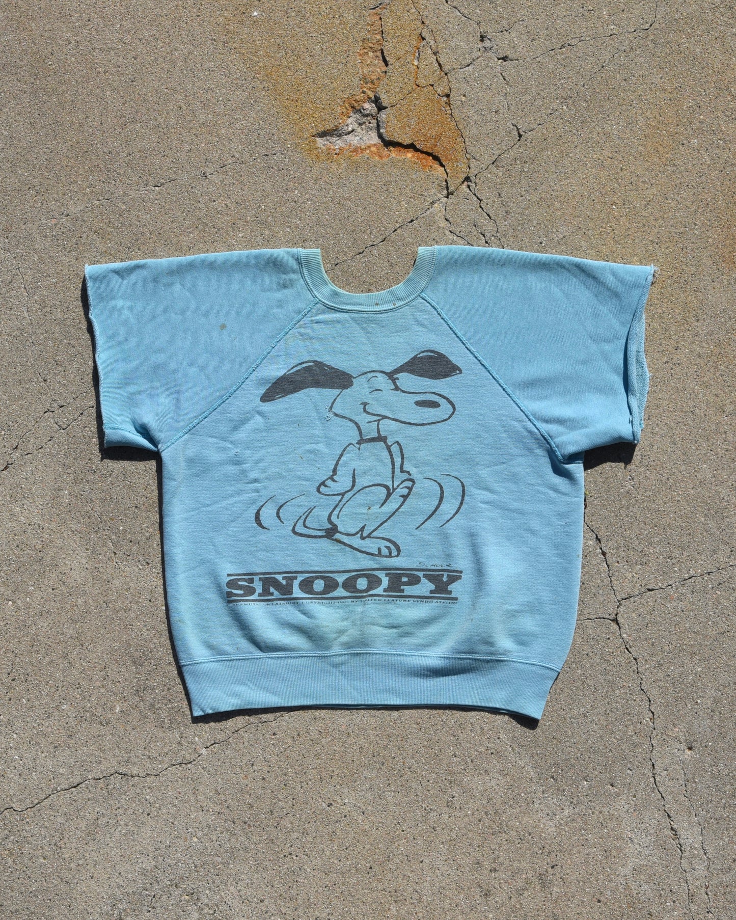 1960s Mayo Spruce Snoopy Peanuts Sweatshirt