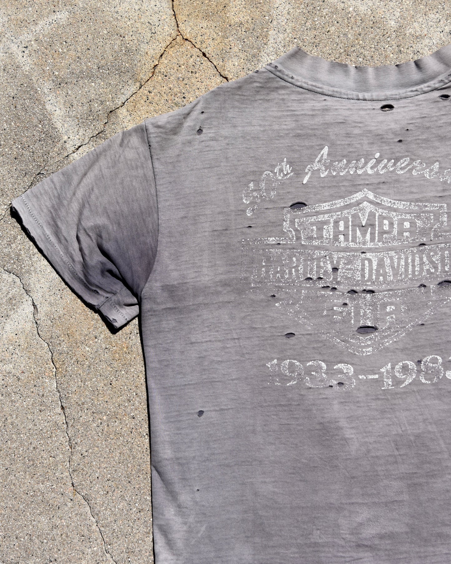 1980s Thrashed and Sun Faded Harley Davidson Eagle Tshirt