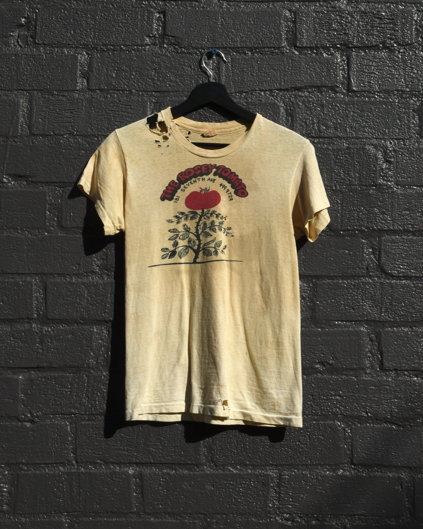 1960s The Rosey Tomato Tshirt