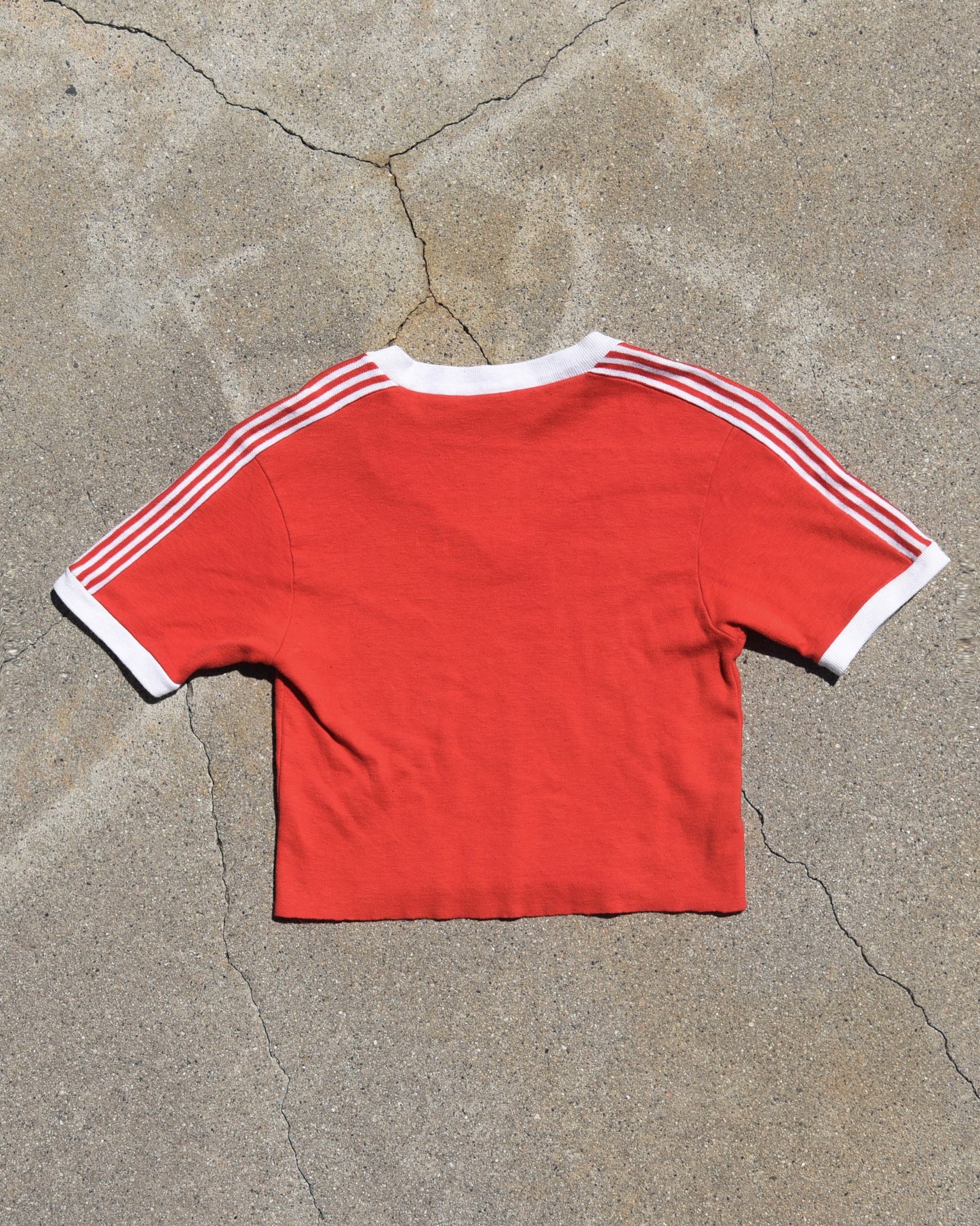 1970s Put Something Exciting Between Your Legs Harley Cropped Tshirt