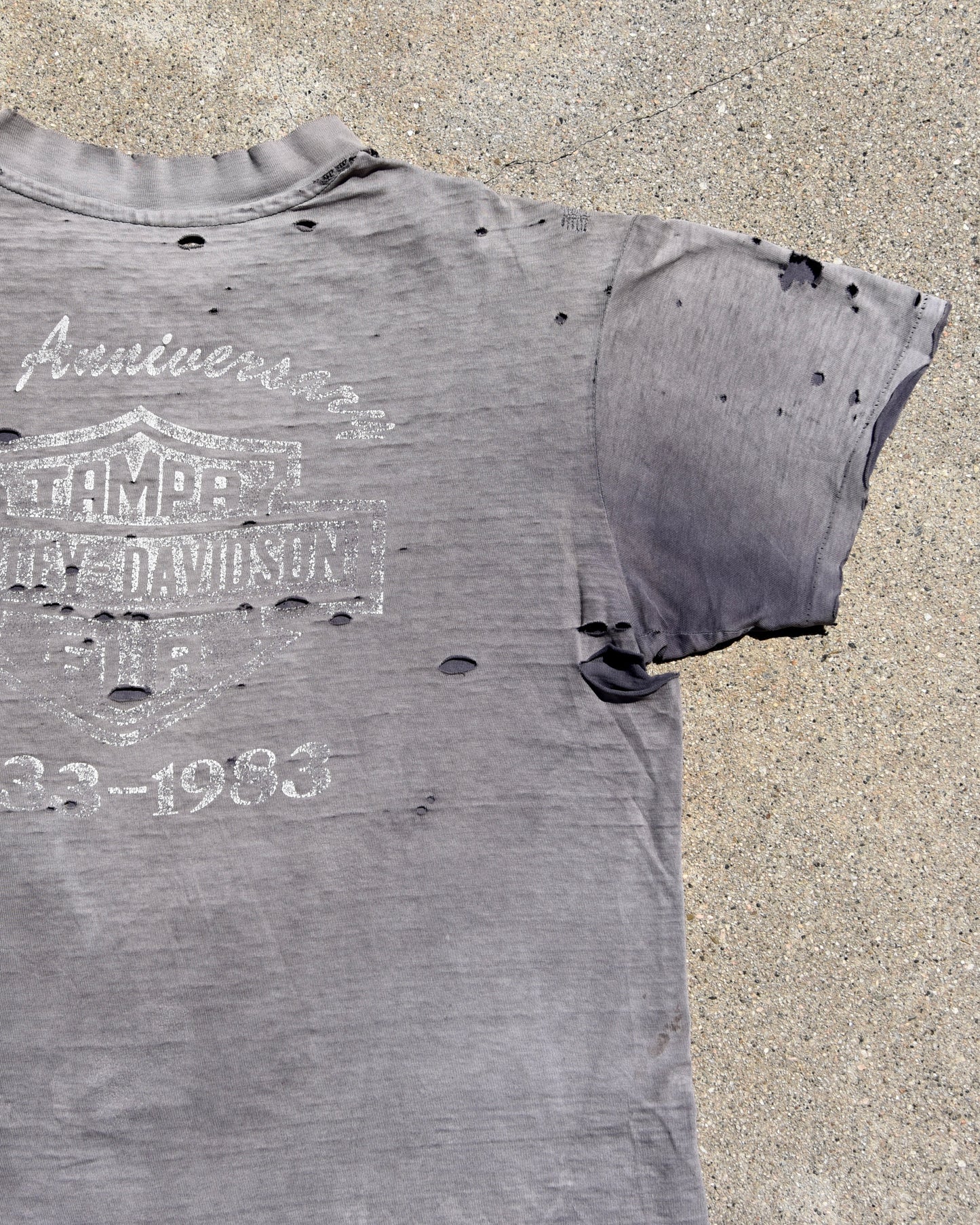 1980s Thrashed and Sun Faded Harley Davidson Eagle Tshirt