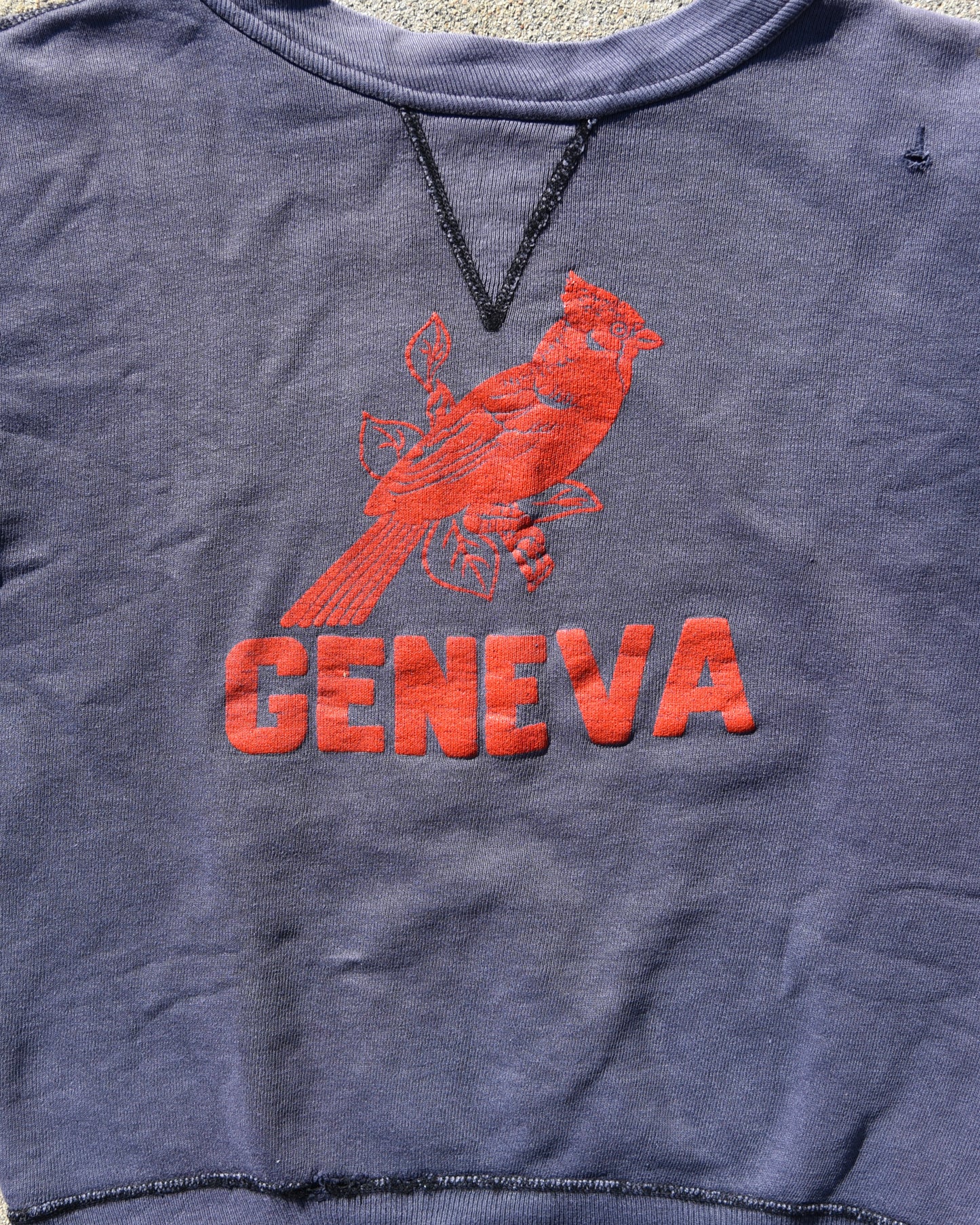 1950s Russell Southern Geneva High School Single V Sweatshirt