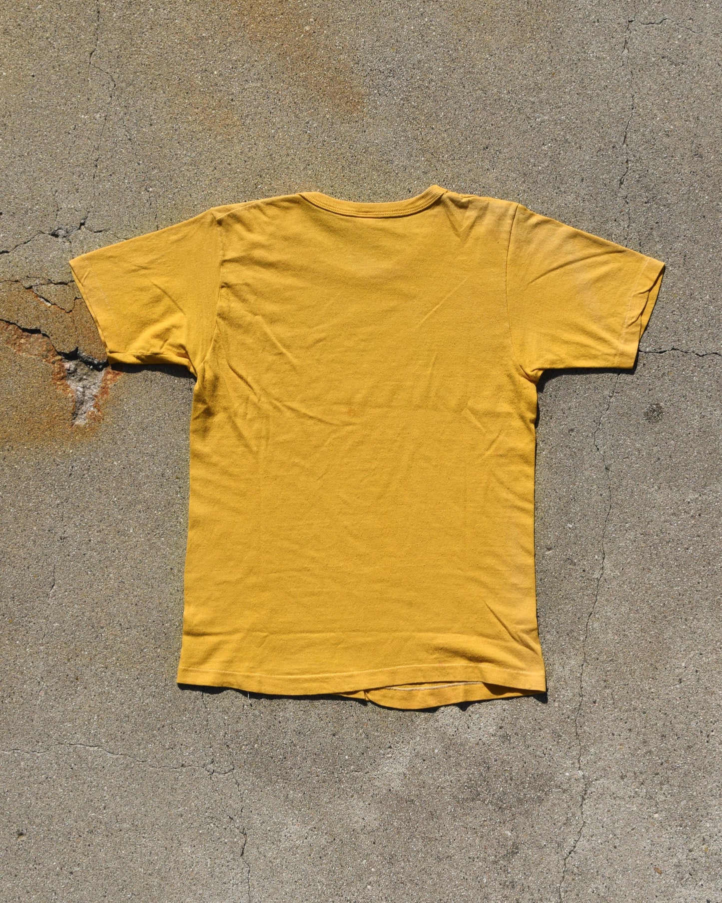 1970s The Beach Boys Endless Summer Capitol Records Tshirt