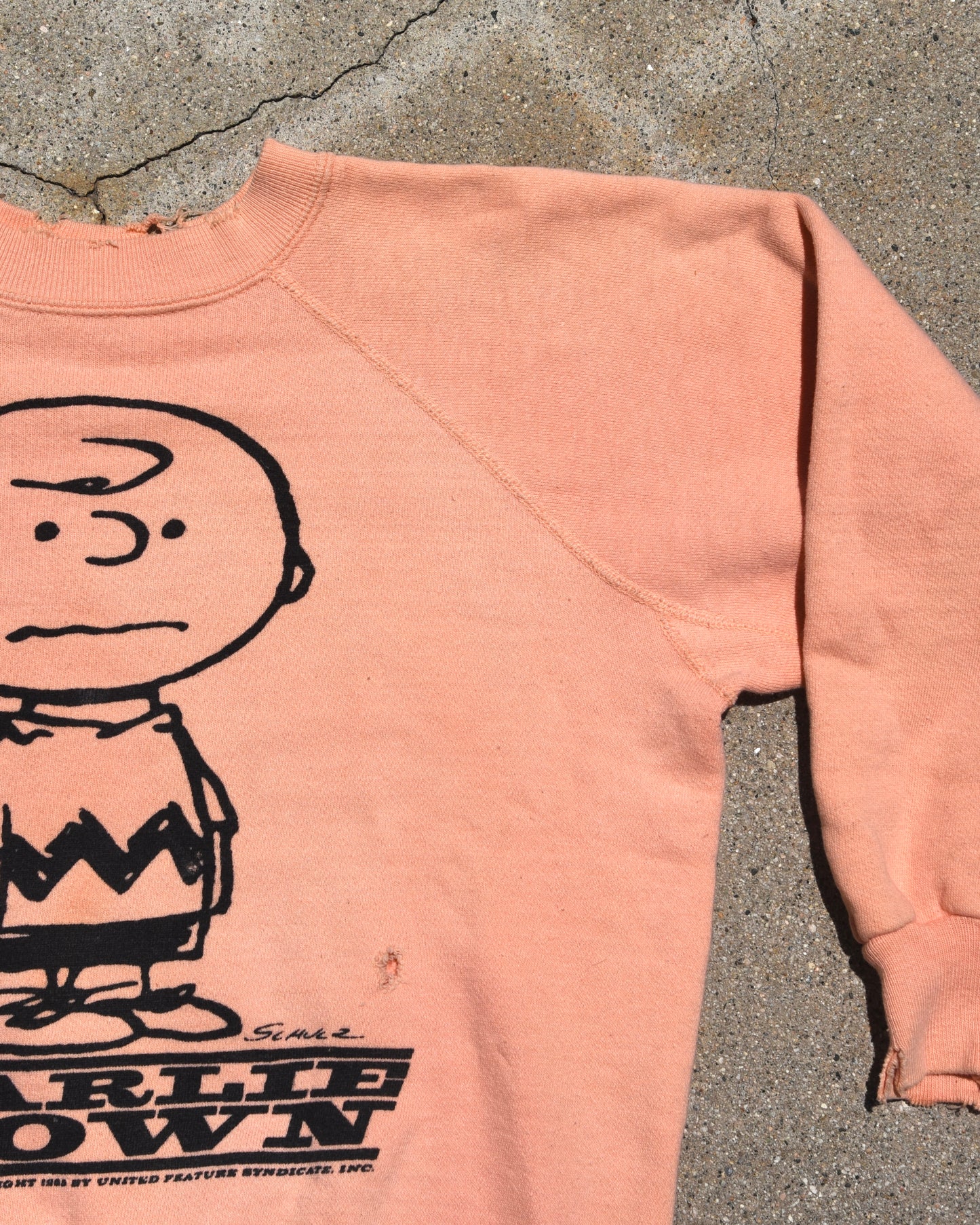 1960s Snoopy Charlie Brown Mayo Spruce Sweatshirt