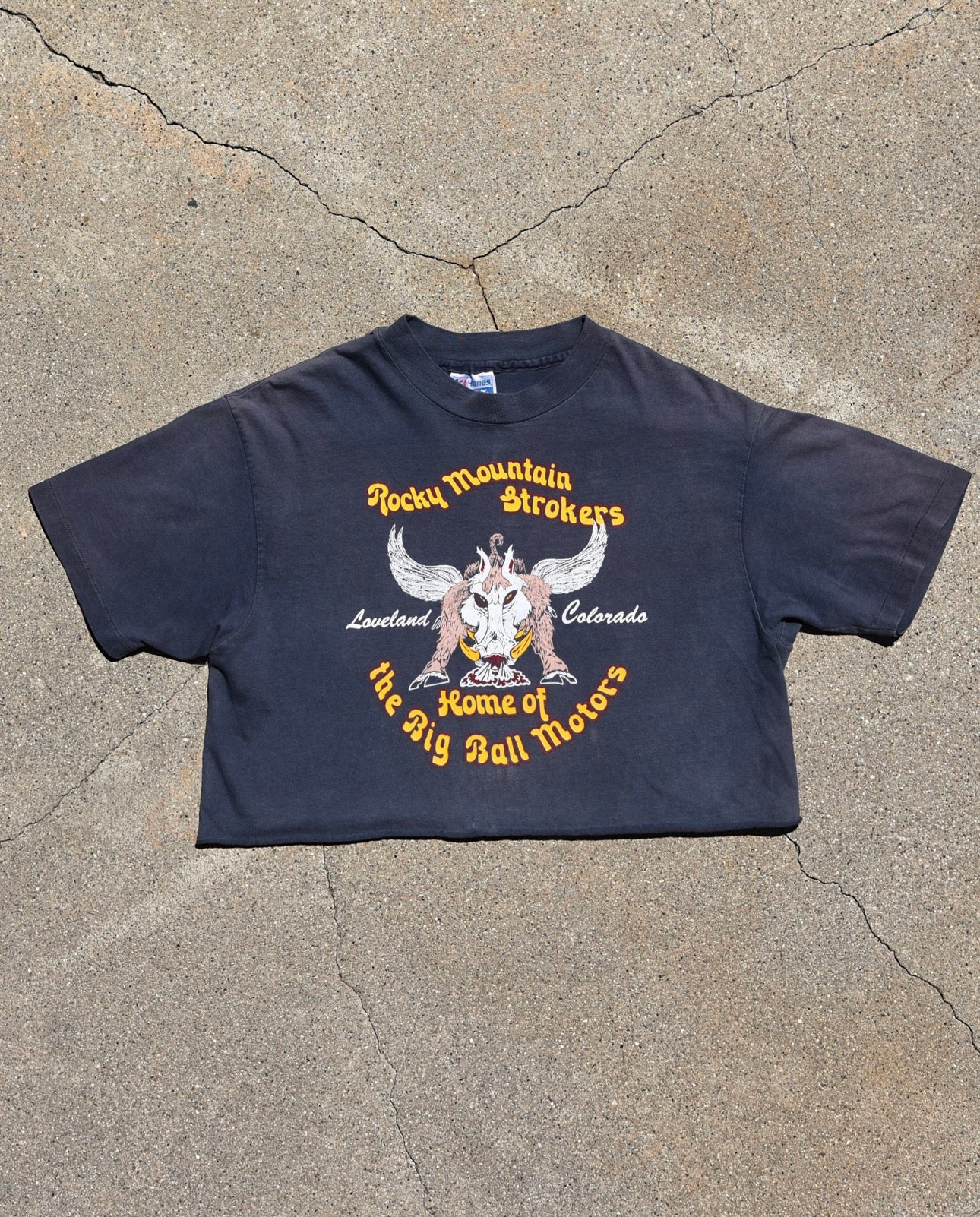 1980s Rocky Mountain Strokers Cropped Harley Davidson Tshirt