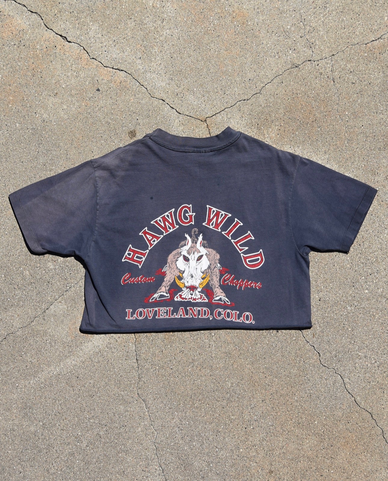 1980s Rocky Mountain Strokers Cropped Harley Davidson Tshirt
